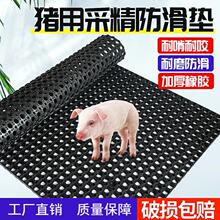 iɾ|˹ھz|BֳӺĸiaط|