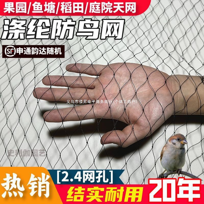 大棚专用防鸟网黑色涤纶果树防护网养殖鱼塘果园农田拦鸟天网批发
