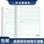 小学生方格横条书写卷面
