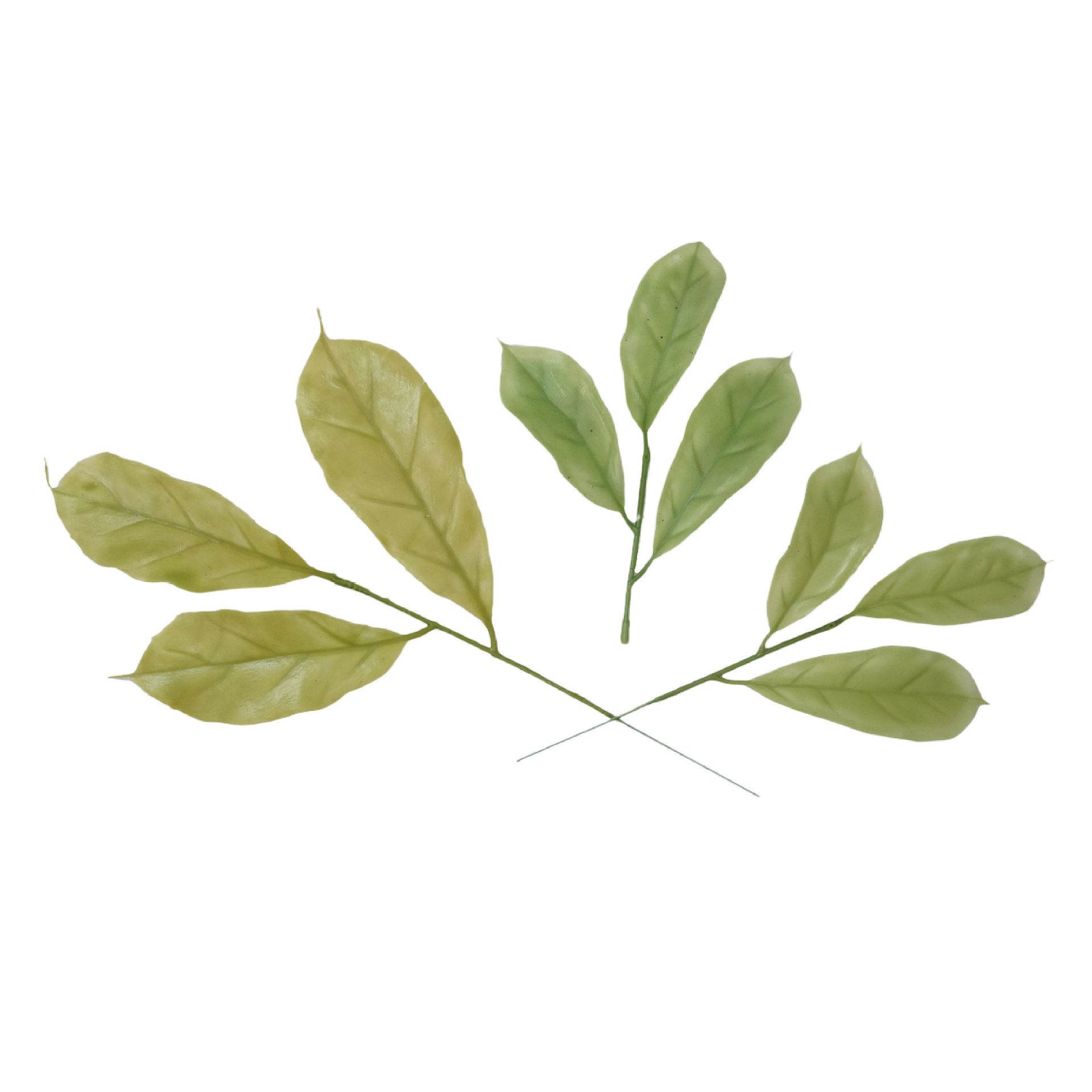 厂家直销 仿真绿植装饰绿叶仿真玉兰叶 圣诞PE圣诞工艺品圣诞花叶