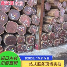 黨ľ 㻨 t̴ľ l̴yƯ