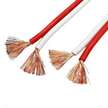 ����߱���g���������l�� 2 о 14AWG ��ͥӰԺ܇�d�����B�Ӿ�