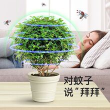 һ�����l�����������ľ���ԝ���������x����ֲ���҃ȾGֲ���B��