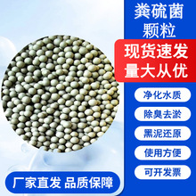 �S����w���򼚾����w��ˮ�a�Bֳ�ĺ����w��ȥ���򻯚�S����w��