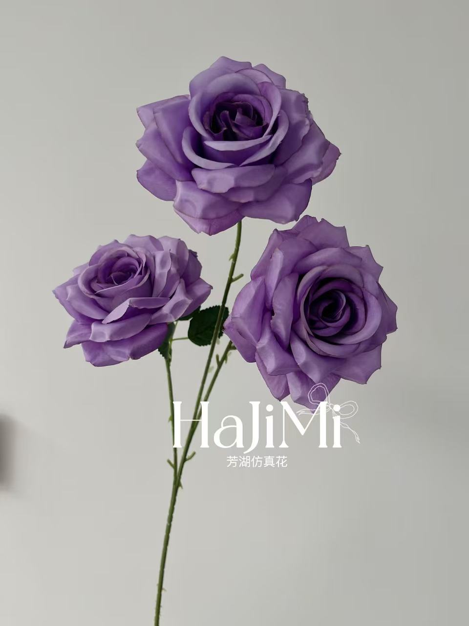 微信图片_20250425173117