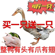 �Iһ��һ�r��������ֻ��ˮ�B�����������������r���F������������