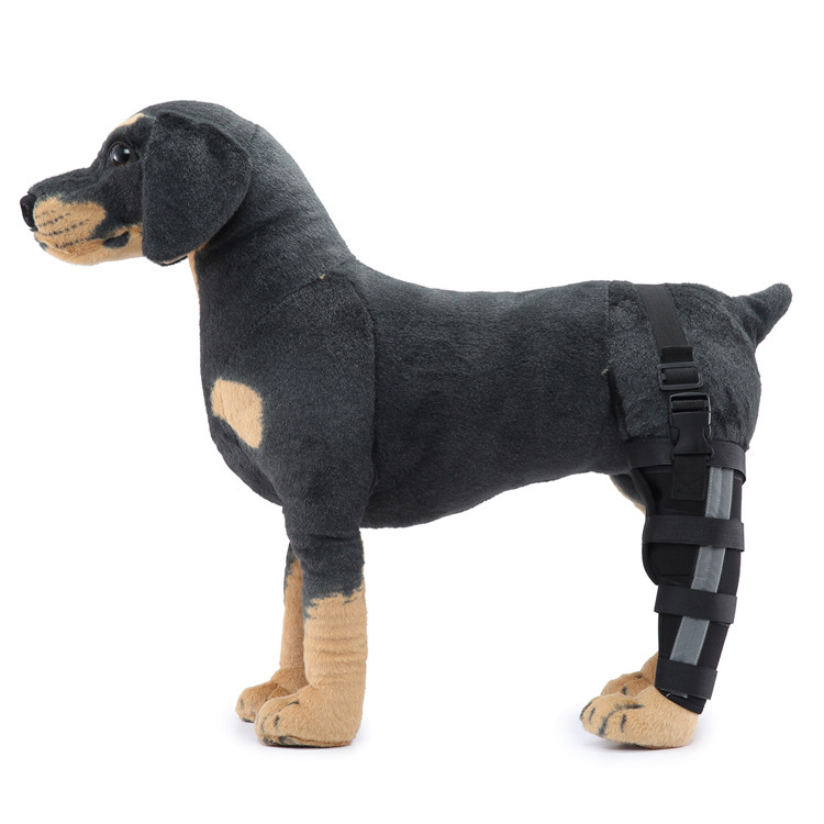 Pet Elbow Brace Leg Joint Protector For Dogs Post Operative Fixation And Support Recovery Knee Brace Dog Supplies_voghion.com
