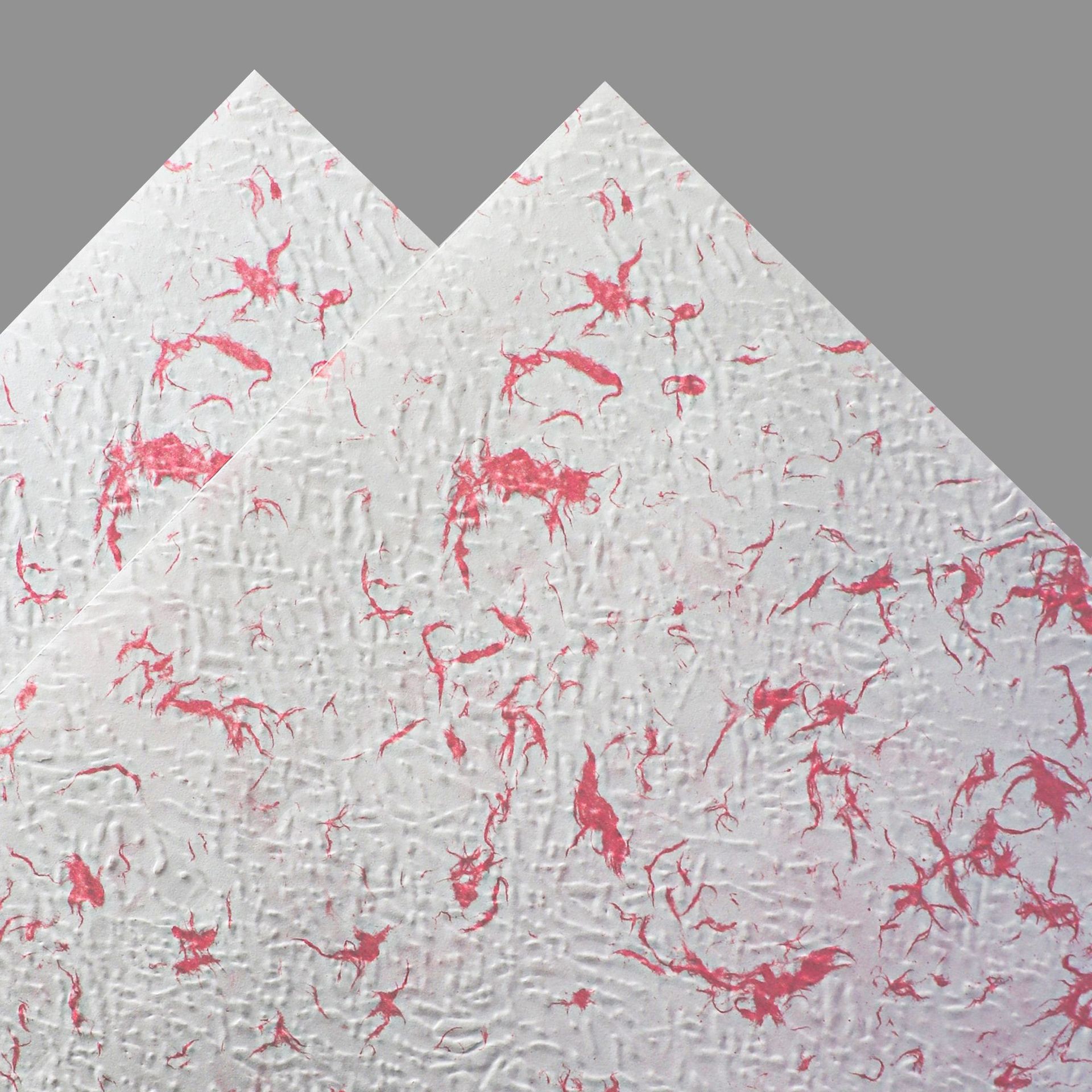 Papel de pétalo desmenuzado de pensamiento de siete colores Papel Dongba Papel floral Papel Fenghua Ramo Papel de embalaje Flores de alta calidad