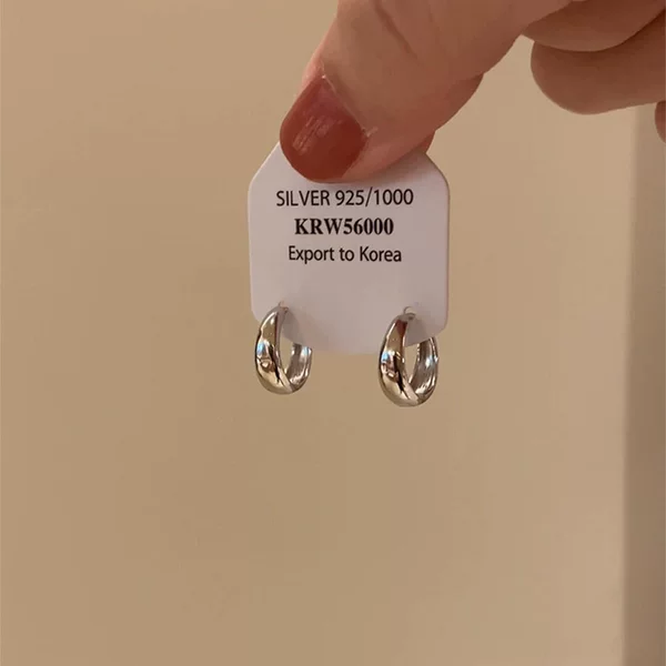 Minimalist Silver Plain Hoop Earrings 2026 New Popular Style High-End Light Luxury Ear Clips Elegant Stud Earrings for Women Niche Design