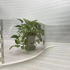 超薄型フルカラーled透明スクリーンフレキシブル結晶膜スクリーン高精細フィルムledフレキシブルソフトスクリーンショーウインドーガラスディスプレイ