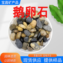 С�Z��ʯ���@�쾰ͥԺ��O�Z��ʯ �~�׉|���쾰�Z��ʯ3-5cm�Z��ʯ