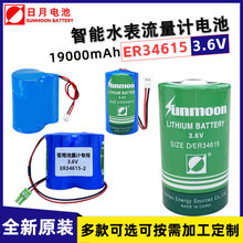 ����ER34615����ˮ��ú��ȼ����������PLC������1��D��3.6V﮵��
