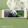Panda 162