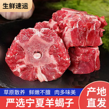 �r���b ���Ğ�����ϐ�ӬF��ɢ�B�������r����򼹹Ƕ���10�����r