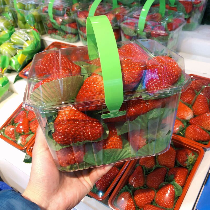 1000g Winter Jujube Strawberry Portable Box Packaging Box Disposable Fruit Transparent Plastic Blister Box with Lid Gala Fruit H