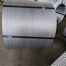 �辰�X��  1060  ֱ��0.5mm �S��ֱ�N  ȫ���l؛