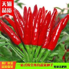 콷NѴļС׸߮aԳ߲˷N