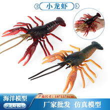 儿童仿真实心淡水小龙虾海洋动物龙虾模型玩具红螯虾装饰摆件手办