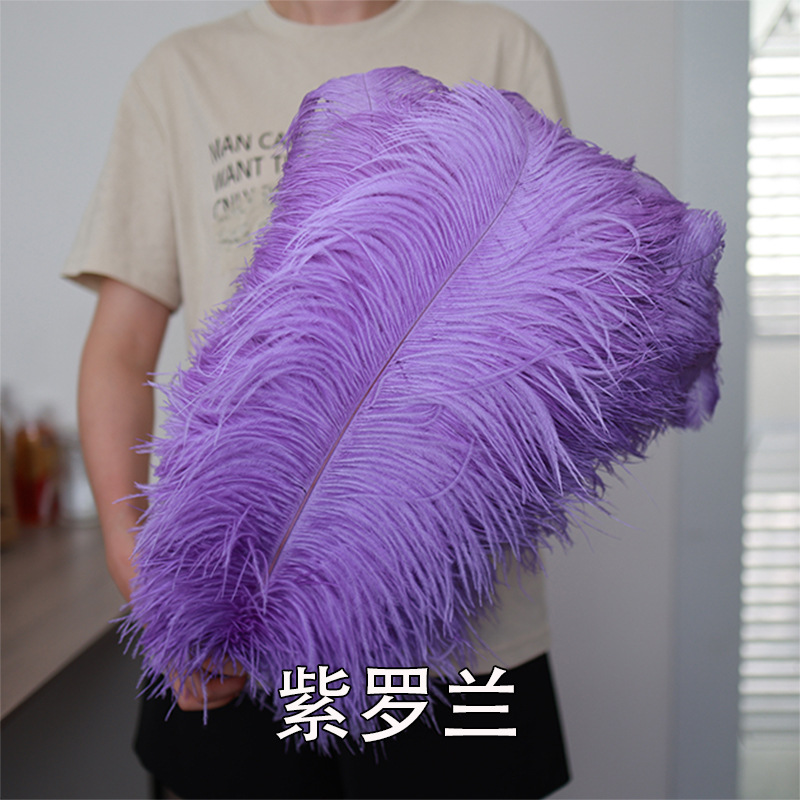55 - 60cm plumas de avestruz de Sudáfrica al por mayor accesorios de ropa DIY accesorios materiales accesorios de diseño de boda lana de avestruz