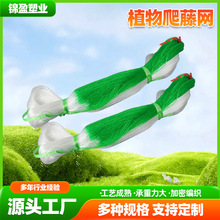爬藤网农用植物山药黄瓜豌豆苦瓜豆角丝瓜吊瓜百香果攀爬网种植网