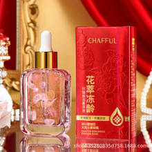 CHAFFUL/��ܽ�� ���̓��g��������Ҹ�Һ