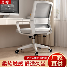 �W��͸�����m�k���������h���Ӿ������������D�μ��ÌW�������l