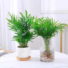 ����Ҭ��ˮ��ֲ�︻�FҬ�����ԾGֲ�҃�ˮ�B����ɢβ���^�~С�辰