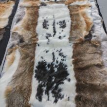 ��Ȼԭ���B��Ȼɫ��Ƥƴ����ë����,ɳ�l�|�h���|���|���W�߼�