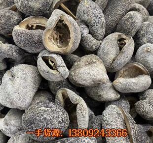 越南球参乌元球球参黑刺参龙纹参南美参关东参关西参冲子参-阿里巴巴
