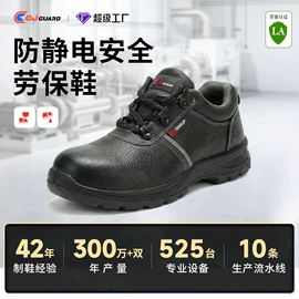 防砸防刺穿鞋;绝缘鞋;防静电鞋