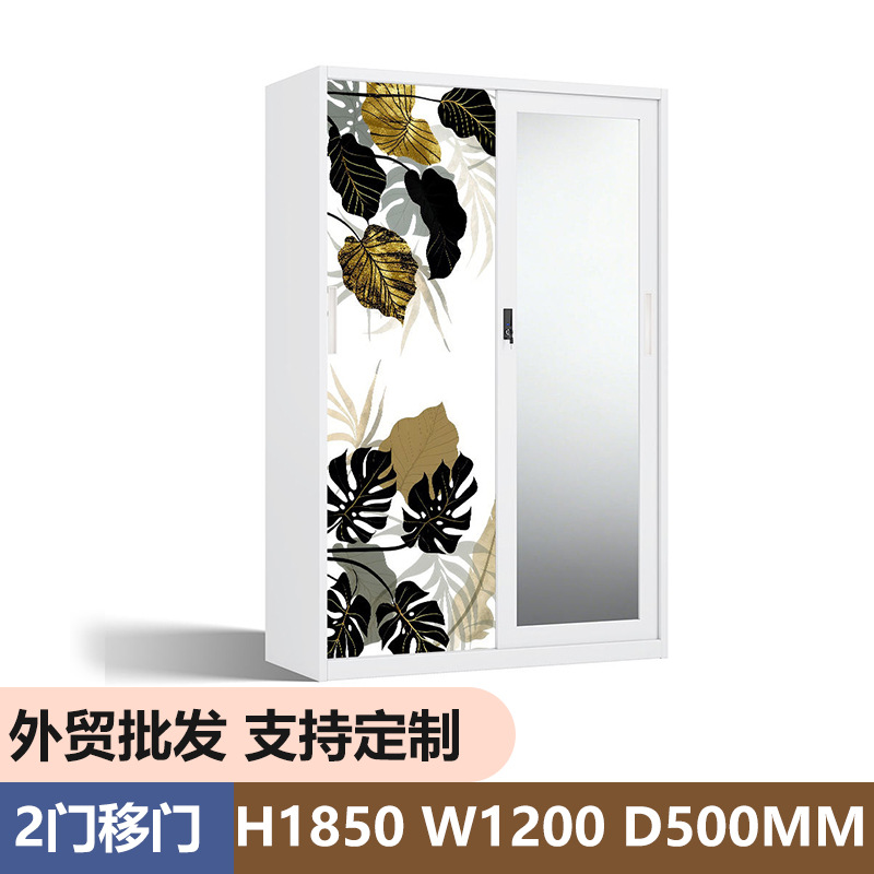 Amazon Hot Steel Printing Wardrobe Ward