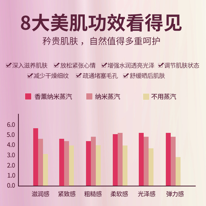 定制蒸脸仪 家用冷热温喷雾器脸部补水美容仪纳米香薰加湿蒸脸器