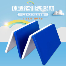四折垫体操垫瑜伽垫仰卧起坐运动折叠基本功空翻训练器工厂直发