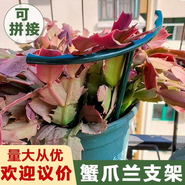 Опора для орхидей «Крабовый коготь», подставка для цветов, опора для орхидей-бабочек, опора для гортензий, подставка для растений для предотвращения опрокидывания, защитная рамка для листьев цветов.