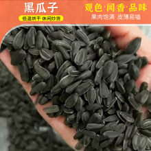 ѳ؛eʳƷɢb lrԭζڹ