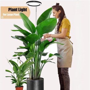 LEDֲ���a�����������ȫ���V���Ӱ�ˮ���߲˻�������ֲ�����L��