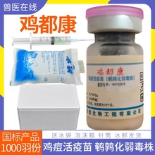 山东华宏鸡痘活疫苗鹌鹑化弱毒株兽药正品可追溯