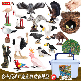 �羳��ͯ����������ģ���w���B���ľ�B�W�^؈�^���r�B�[�����b