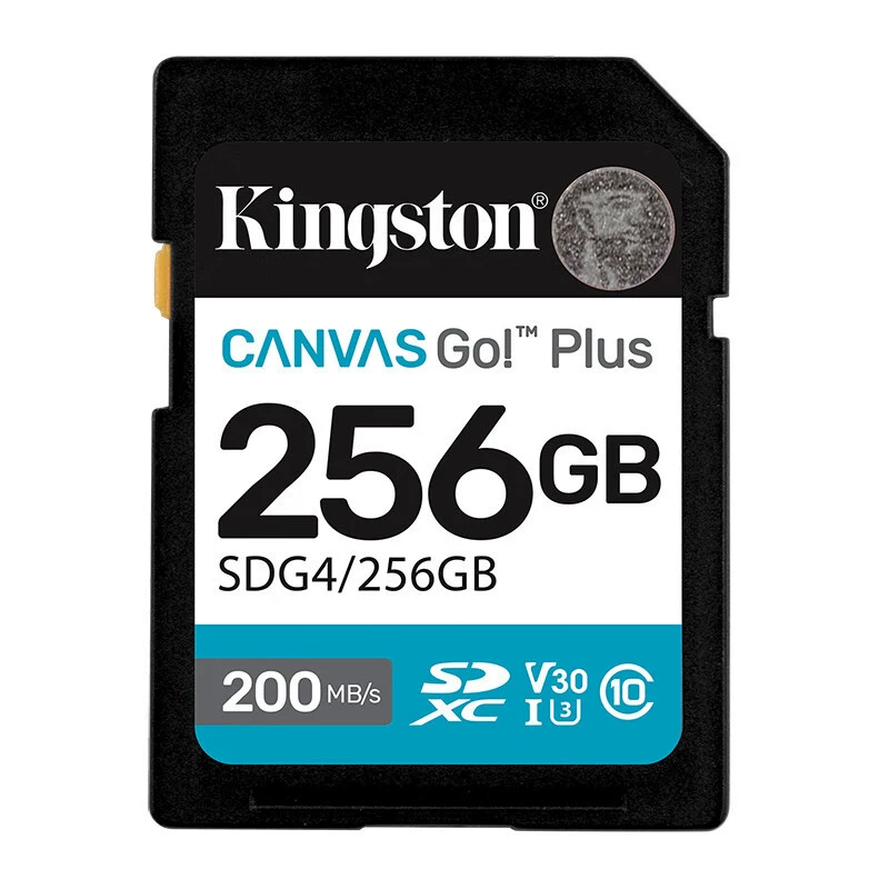 Карта памяти Kingston SDG4 64ГБ 128ГБ 256ГБ 512ГБ 1Т, карта памяти для камеры SD, скорость чтения 200 МБ/с