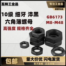 10�����Ǳ���ĸ ϸ�� ���GB6173  M8~M48