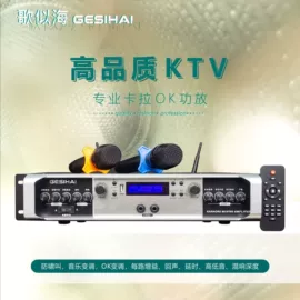 公共广播系统;组合音响;其他音箱