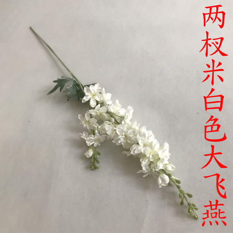 Una gran golondrina voladora blanca