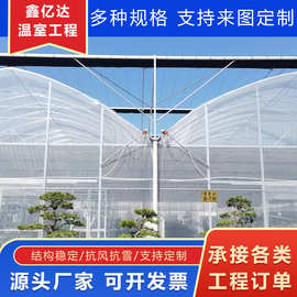 大型内外遮阳连栋温室工程智能农业观光温室苗木培育连体玻璃大棚
