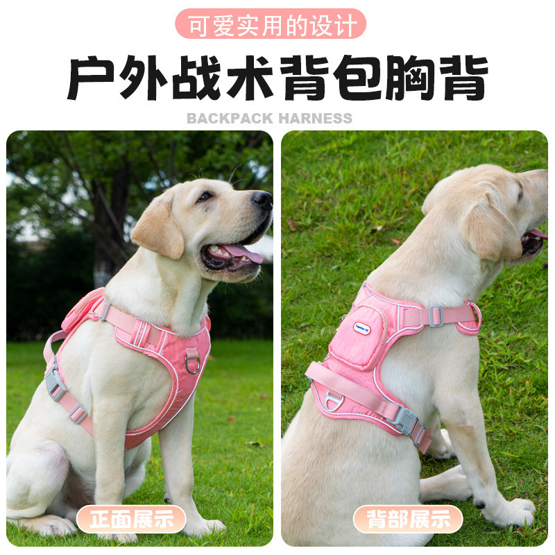 宠物狗狗牵引绳可爱背心式胸背带外出防挣脱可调节溜猫绳狗狗胸背|undefined