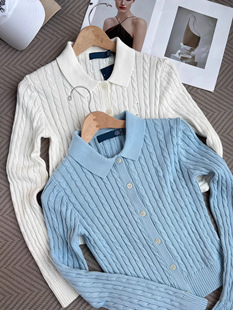 Осенний трикотажный кардиган, свитер, лонгслив, пони, 2025 года, воротник поло, с вышивкой
