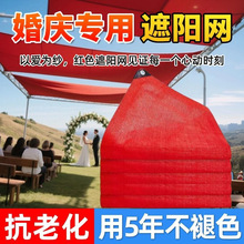 �¿�ֲ�����W��ꖾW���tɫ����ͥԺ�̨��������ꖾW�ļ�����