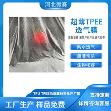 5&mu;����TPEEĤ �H�w͸����N���� ��ˮ�ͺϲ��� ���oˮ��͸��Ĥ