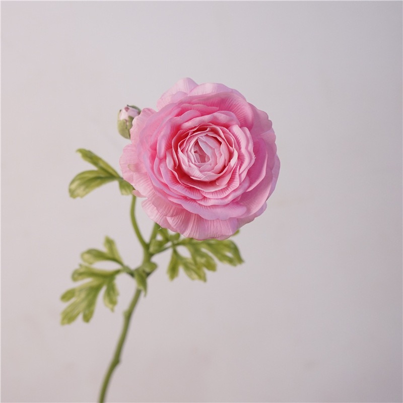 Hand-feeling 2-head lotus-water pink