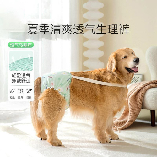 Big dogs, medium and large dogs, golden retrievers, menstrual period menstrual pants, menstrual pants, anti-harassment bitch menstrual pants, pet clothes