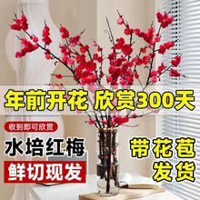 Tܼt÷ˮֲ҃rЎ͏dGֲB